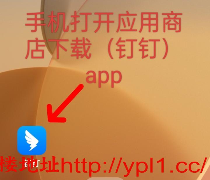 IMG_20250524_074044.jpg