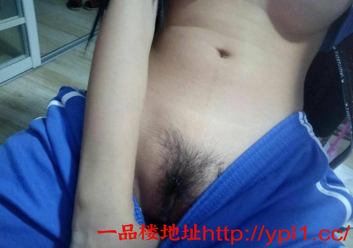 000853nrovor8htc78zt1f.jpg