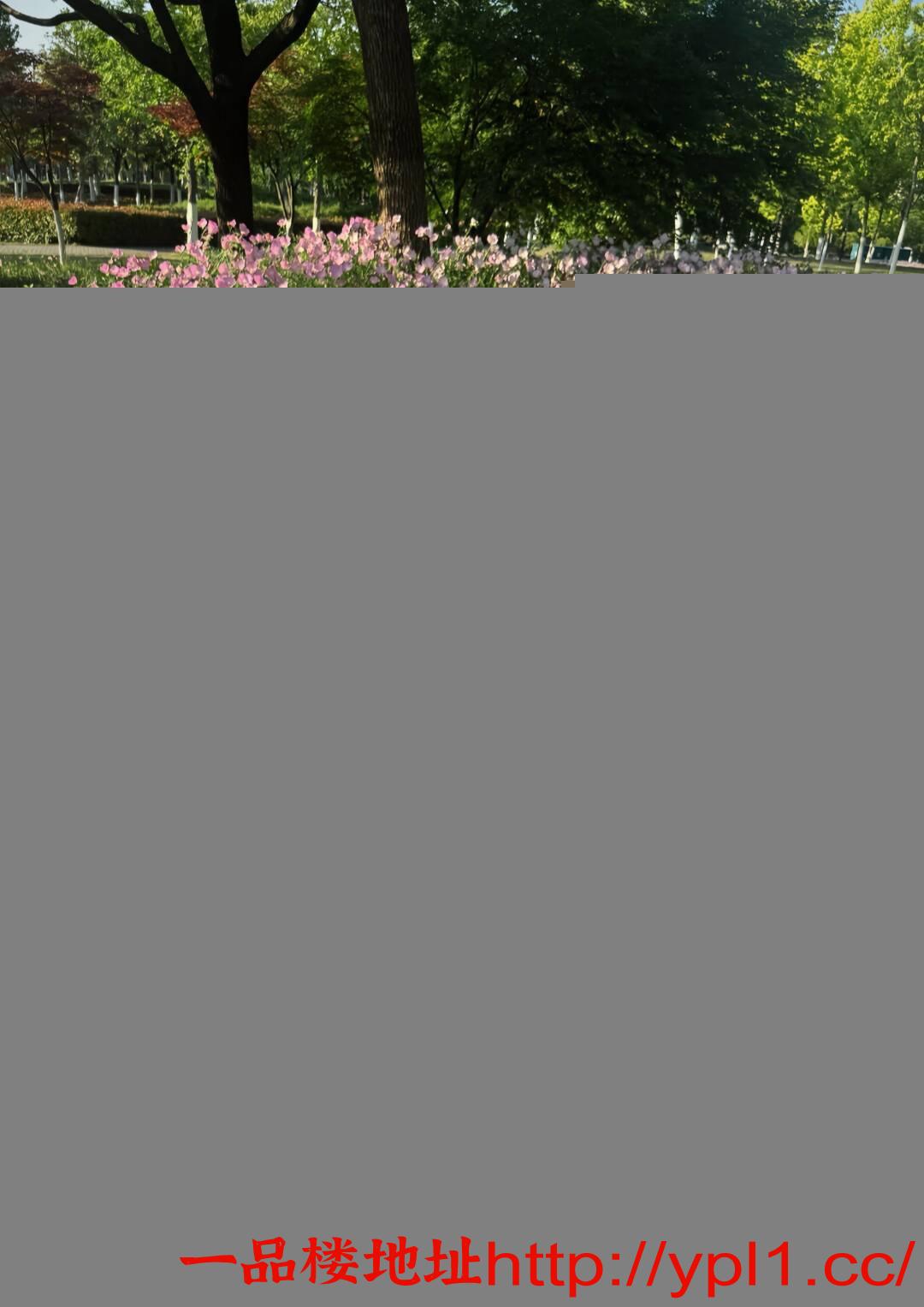 IMG_1750.jpeg