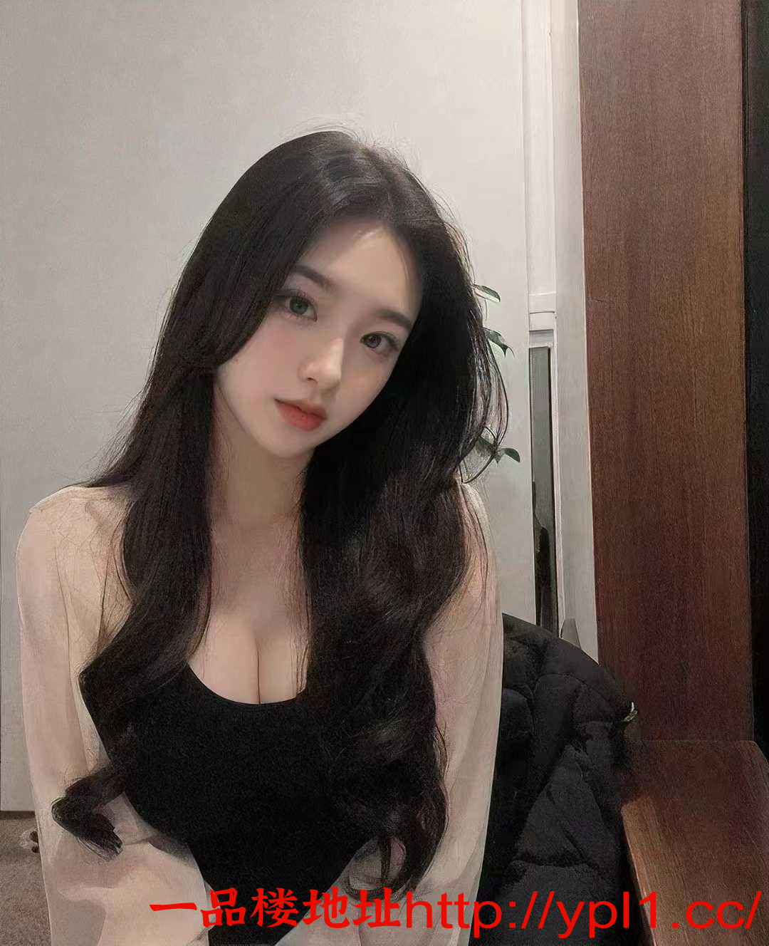 1756165875386.jpeg.png