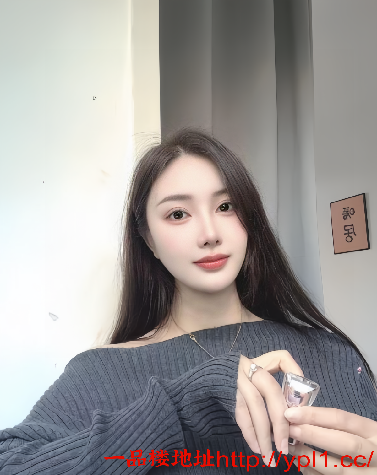 quality_restoration_20251020035025578.png